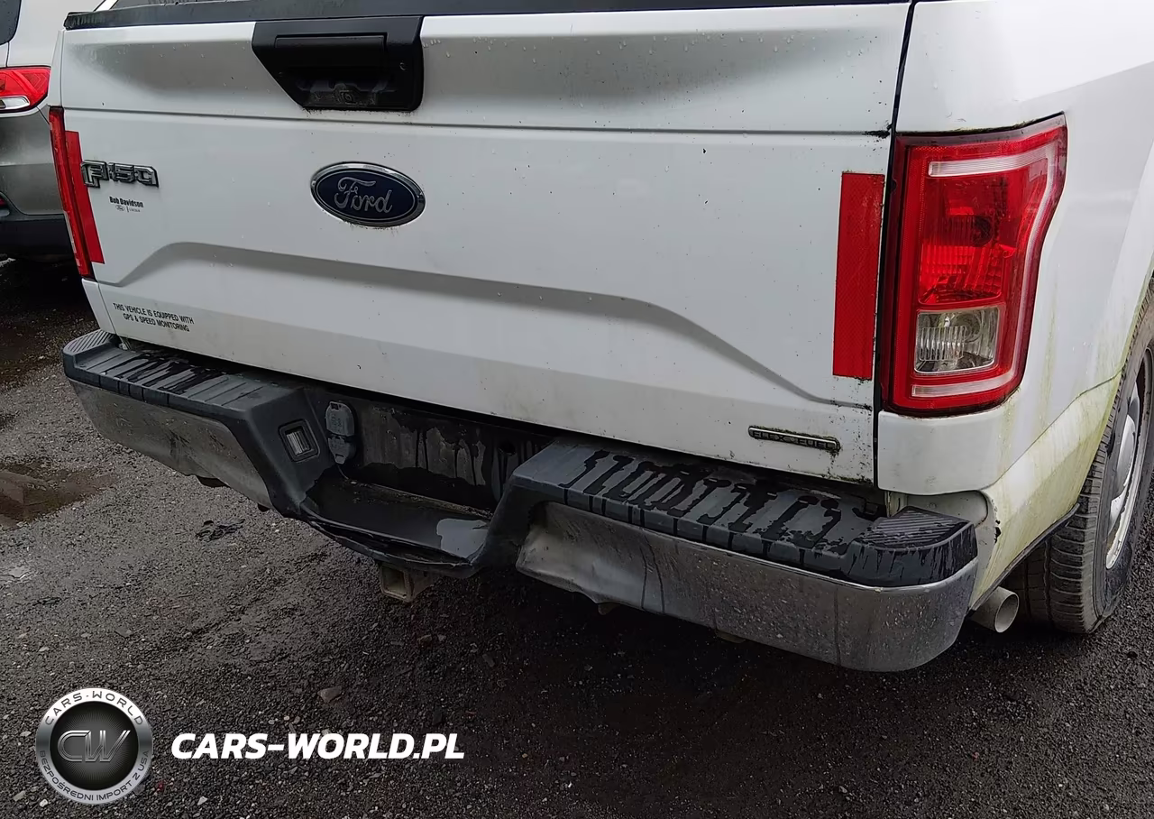 2016 Ford F-150 Xl VIN:1FTEX1C87GFC96098 - 6