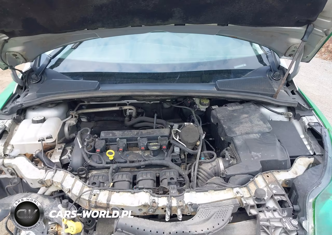 2013 Ford Focus Titanium VIN:1FADP3N27DL295827 - 10