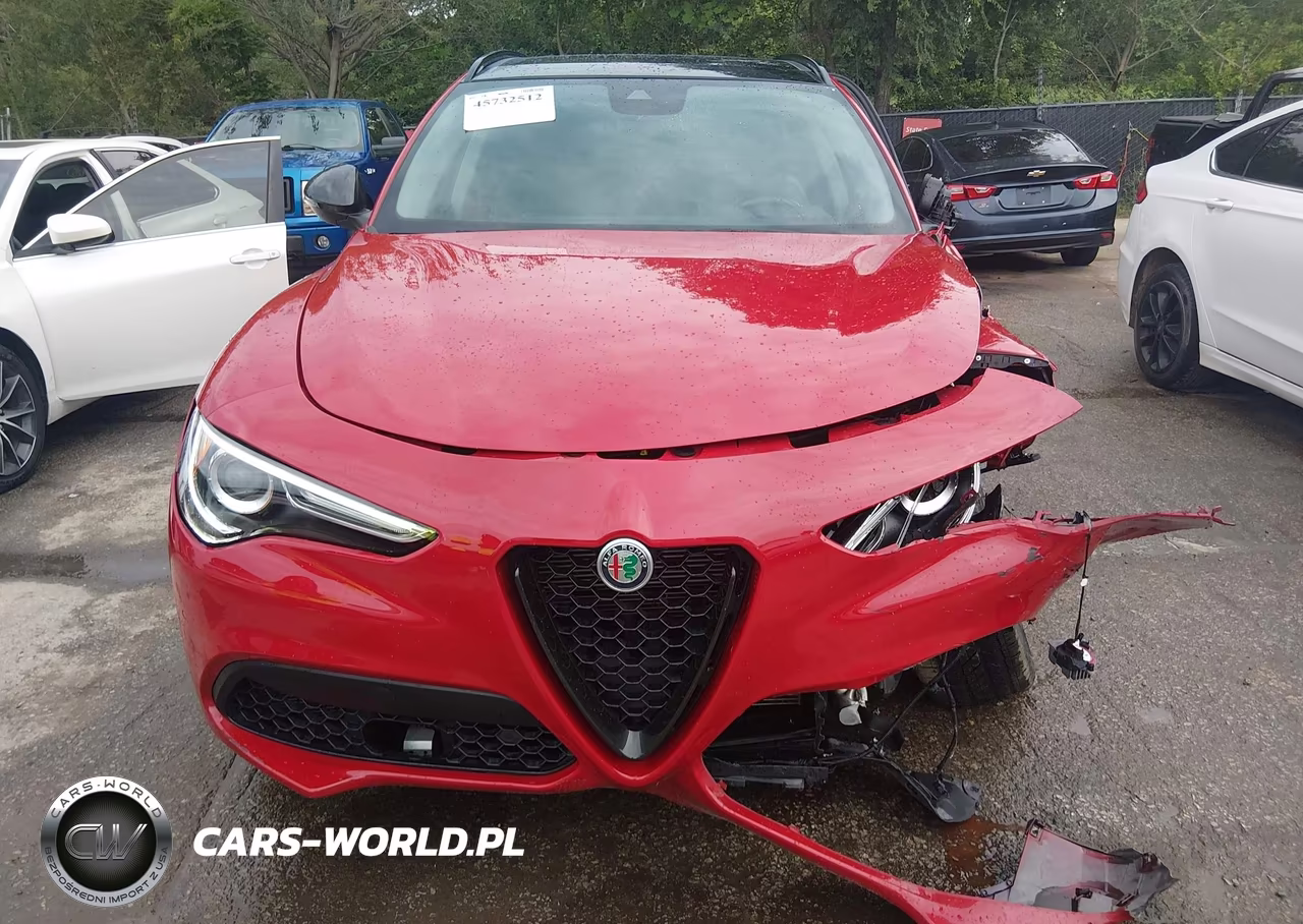 2020 Alfa Romeo Stelvio Sport Awd VIN:ZASPAKAN8L7C74356 - 12