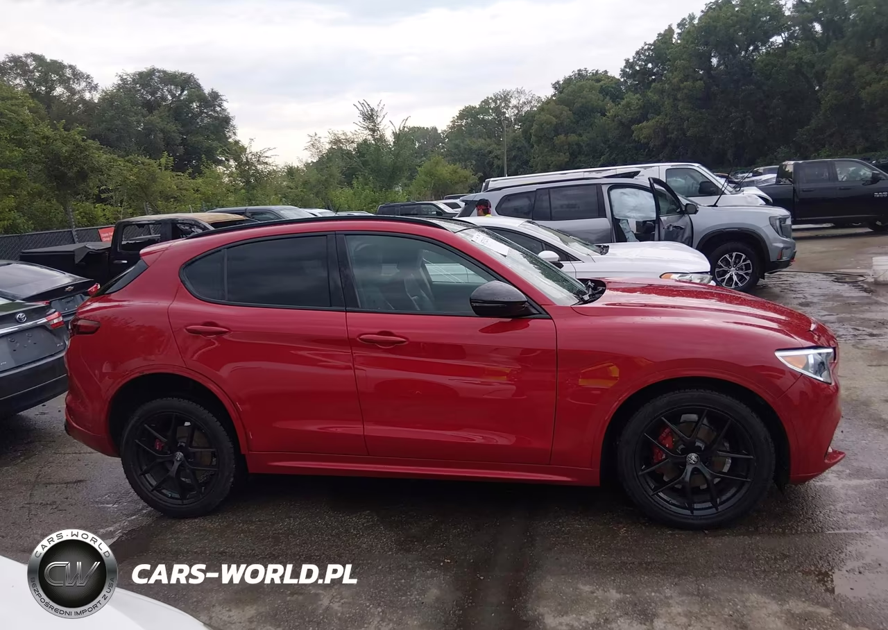 2020 Alfa Romeo Stelvio Sport Awd VIN:ZASPAKAN8L7C74356 - 13