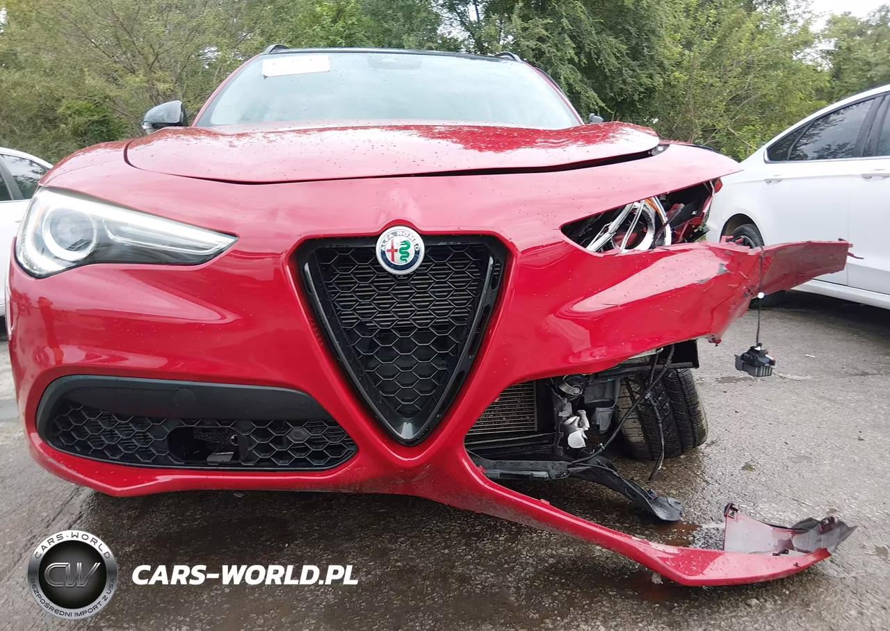 2020 Alfa Romeo Stelvio Sport Awd VIN:ZASPAKAN8L7C74356 - 17