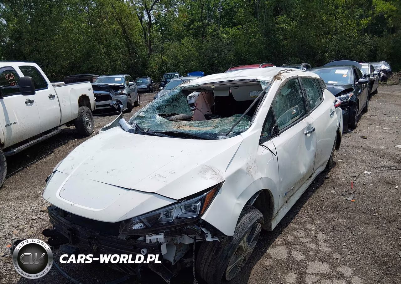 2018 Nissan Leaf Sl VIN:1N4AZ1CP7JC306465 - 2