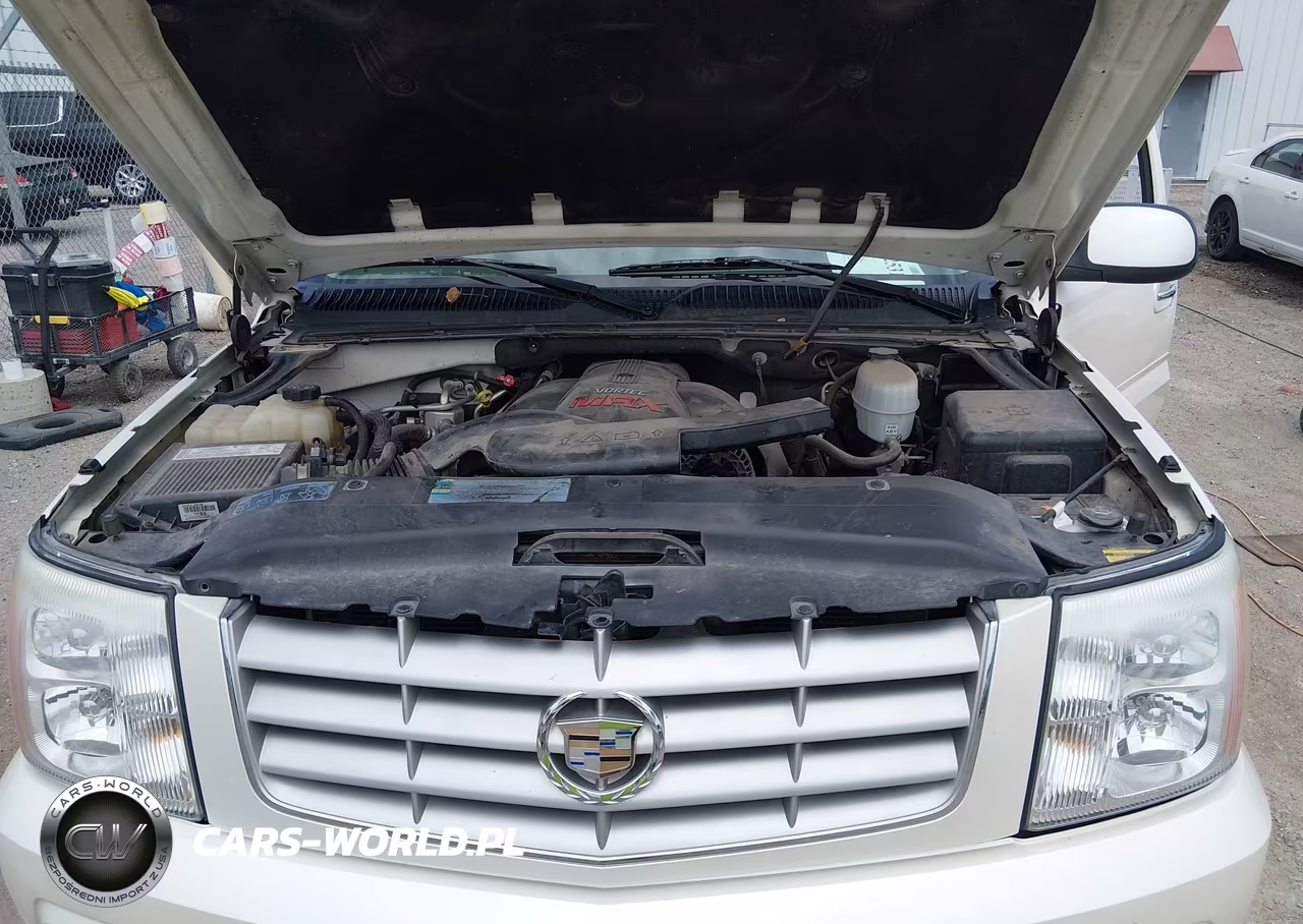 2006 Cadillac Escalade Standard VIN:1GYEK63N86R111212 - 10