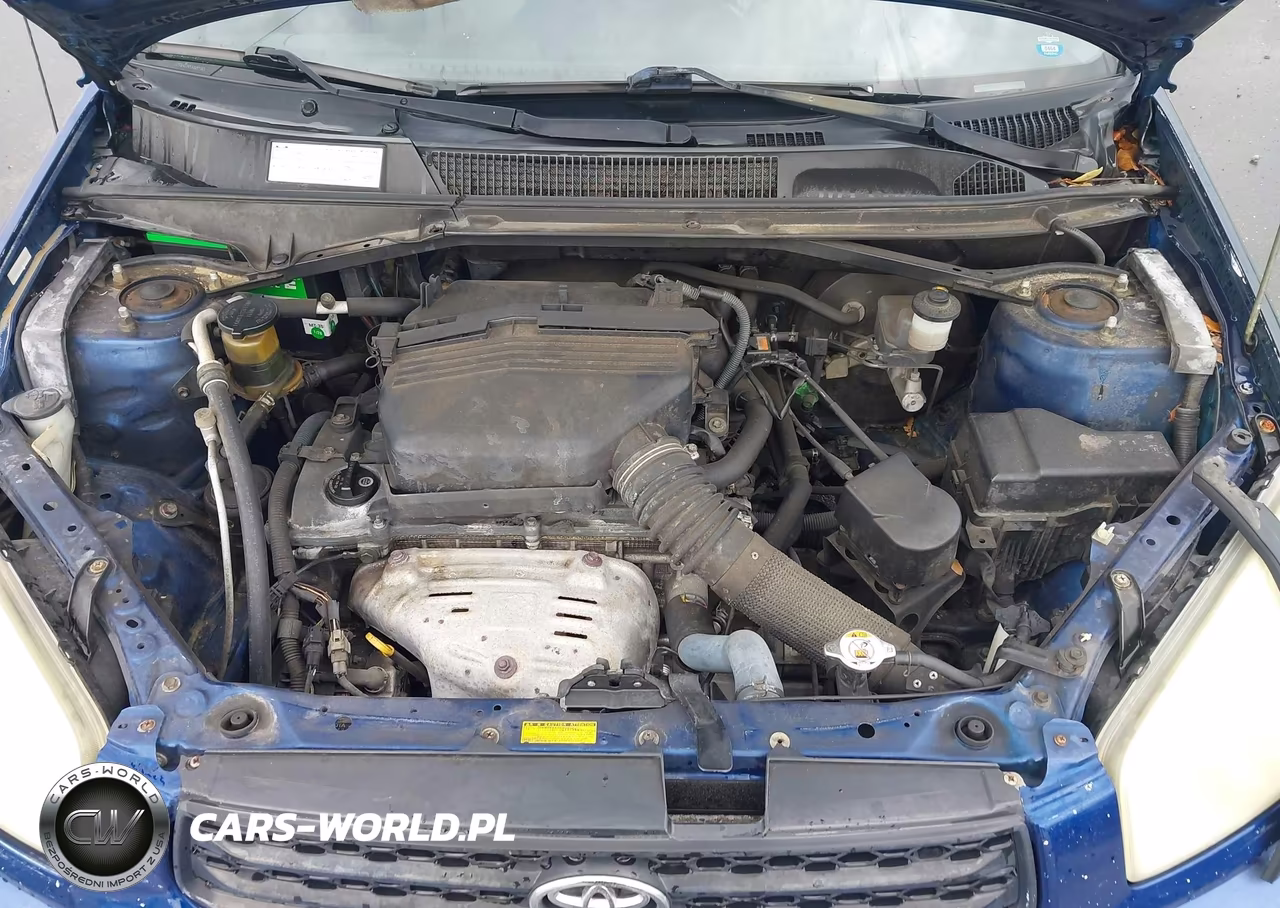 2002 Toyota Rav4 VIN:JTEGH20V520057193 - 10