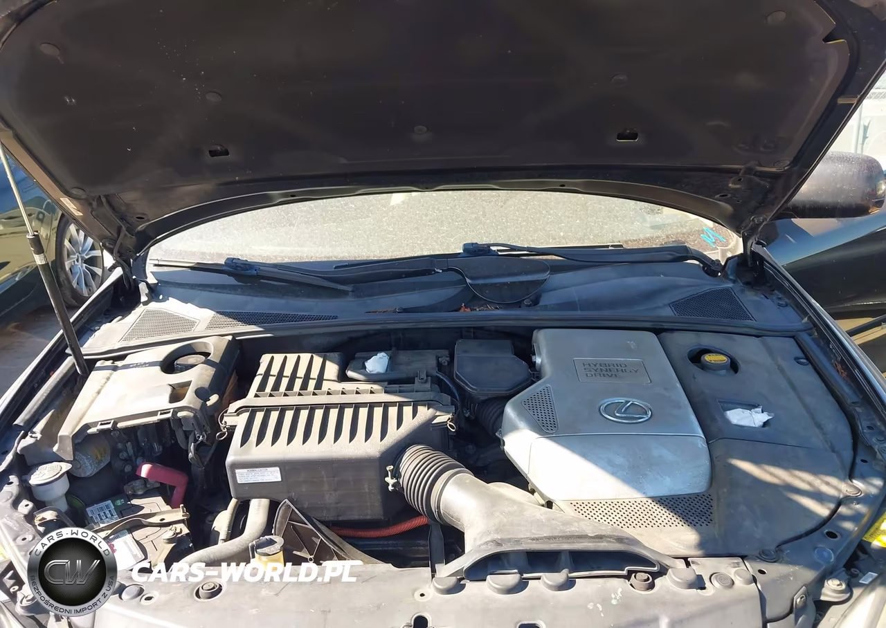 2006 Lexus Rx 400H VIN:JTJHW31U160037083 - 10