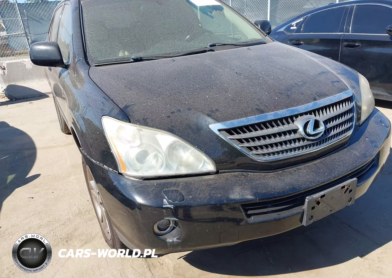 2006 Lexus Rx 400H VIN:JTJHW31U160037083 - 6