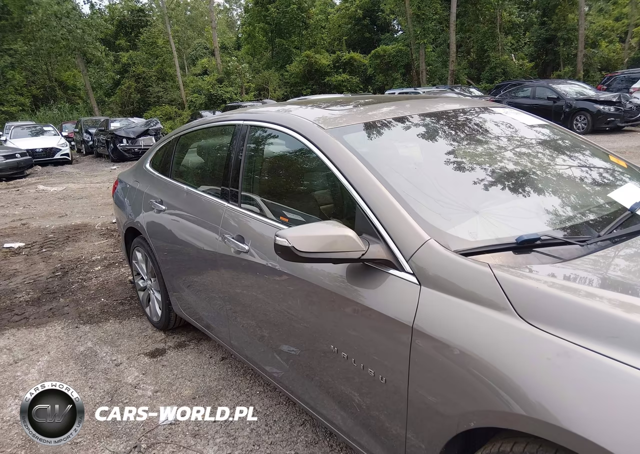 2017 Chevrolet Malibu Premier VIN:1G1ZH5SX5HF174073 - 13