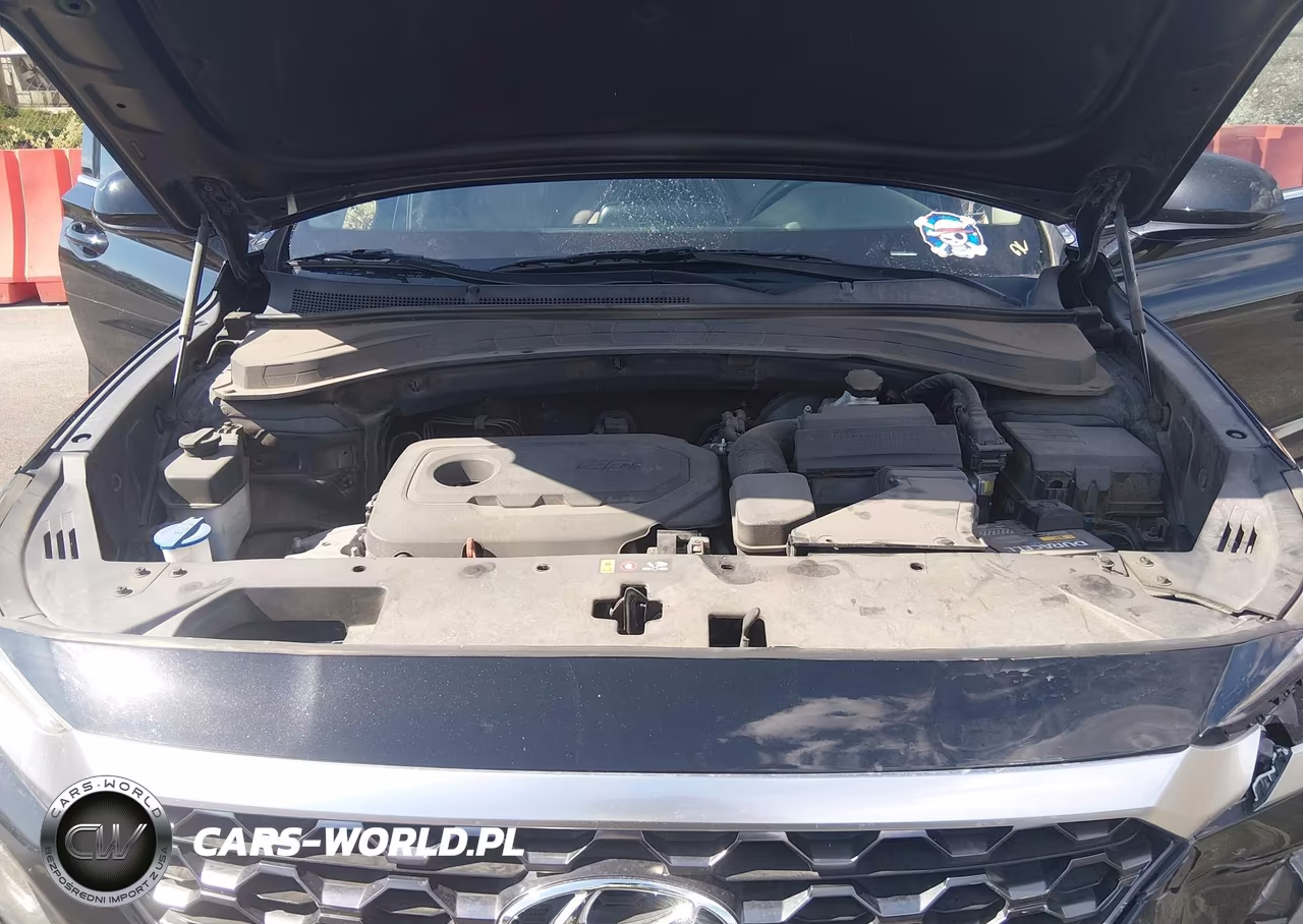 2020 Hyundai Santa Fe Sel VIN:5NMS33AD1LH183982 - 10