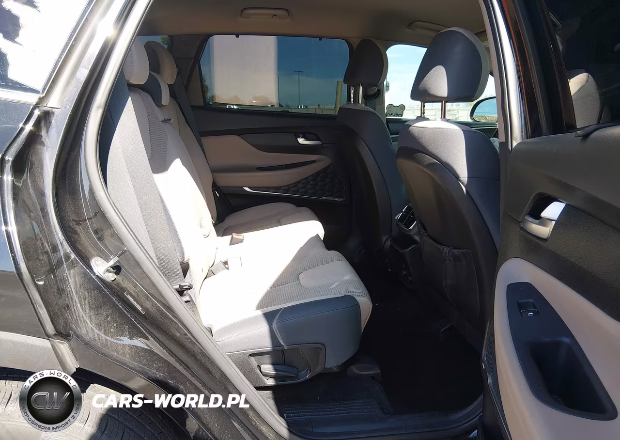 2020 Hyundai Santa Fe Sel VIN:5NMS33AD1LH183982 - 8