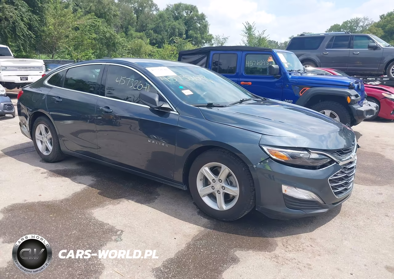 2019 Chevrolet Malibu 1Ls VIN:1G1ZB5ST8KF220971 - 1