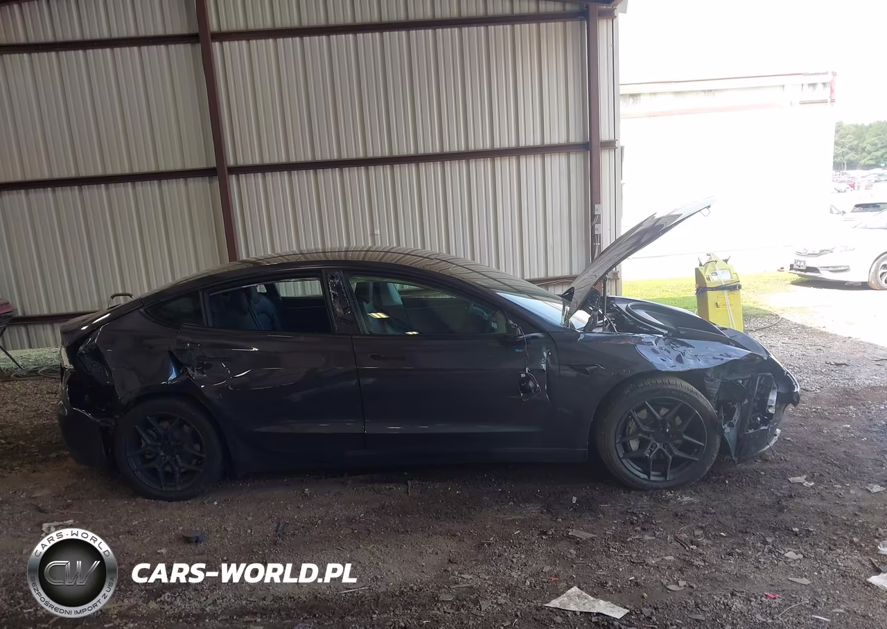 2024 Tesla Model 3 VIN:5YJ3E1EA9RF856417 - 12