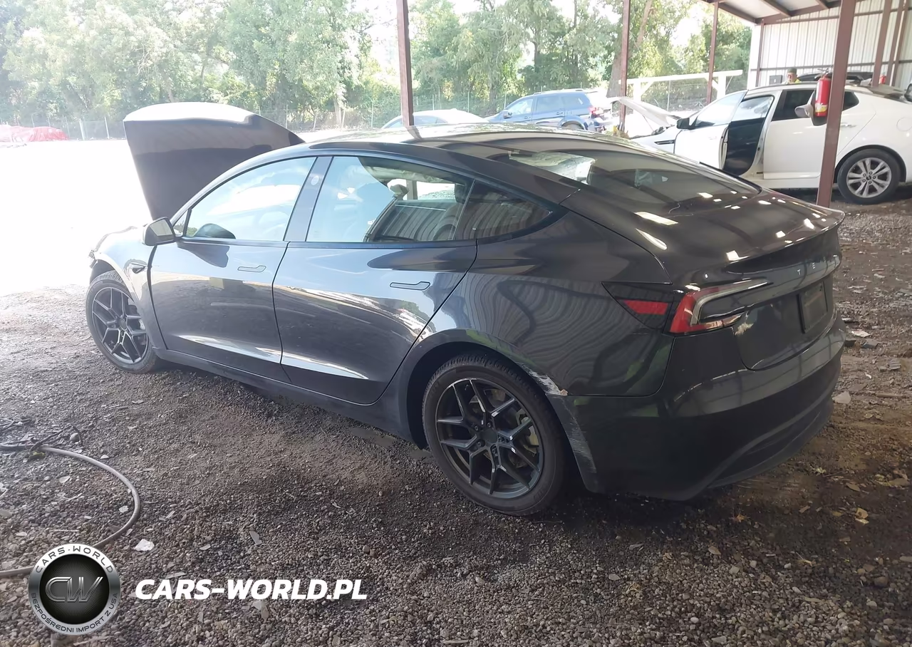 2024 Tesla Model 3 VIN:5YJ3E1EA9RF856417 - 3