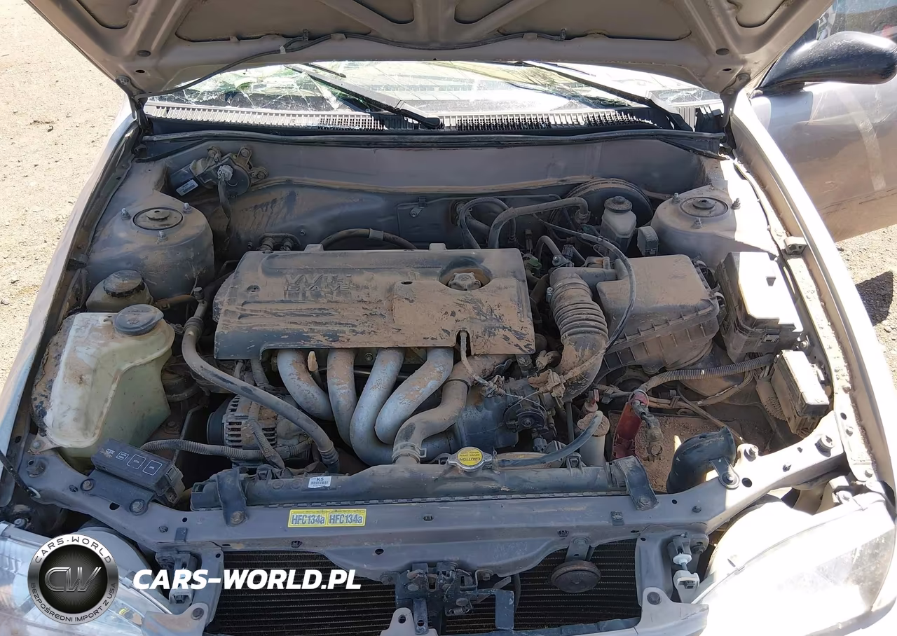 2000 Toyota Corolla Ce VIN:1NXBR12E1YZ393472 - 10