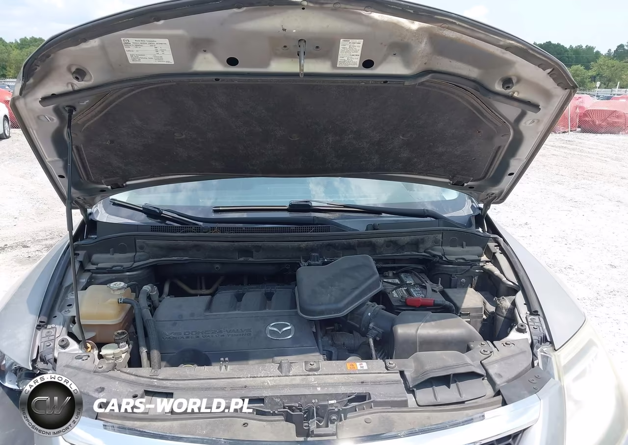 2009 Mazda Cx-9 Touring VIN:JM3TB28A590177275 - 10