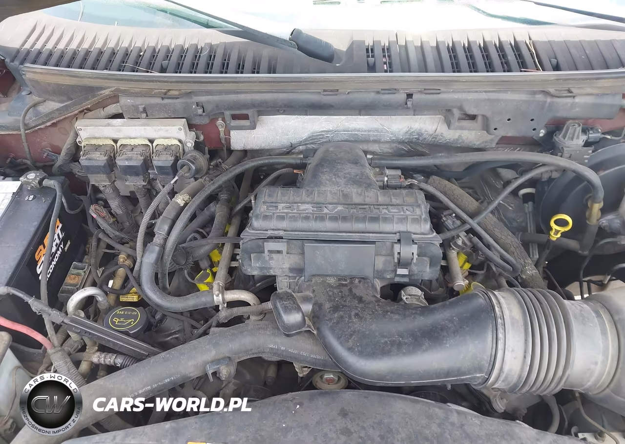 2006 Ford Expedition Eddie Bauer-King Ranch VIN:1FMPU175X6LA66438 - 10