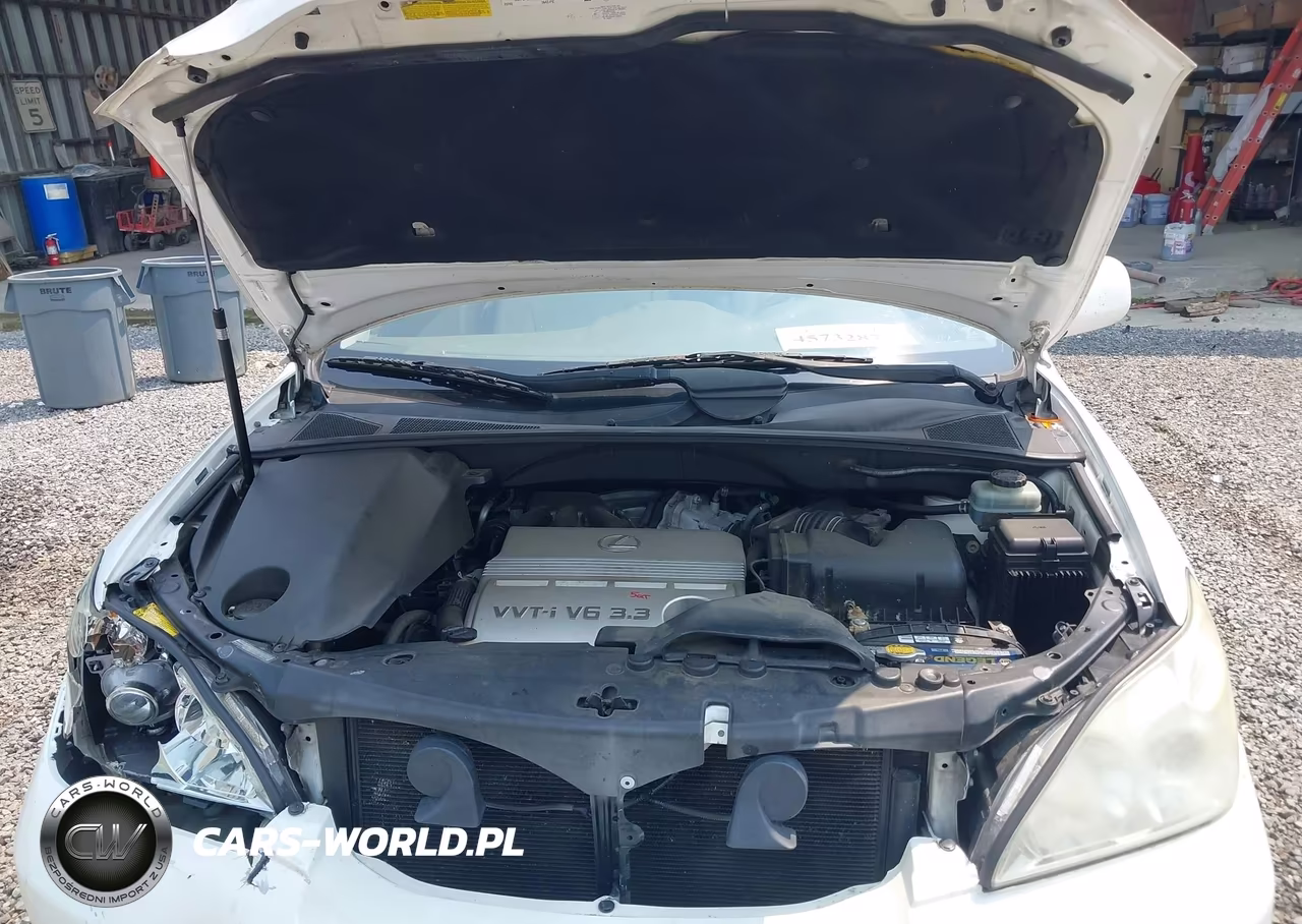 2005 Lexus Rx 330 VIN:JTJGA31U450051987 - 10