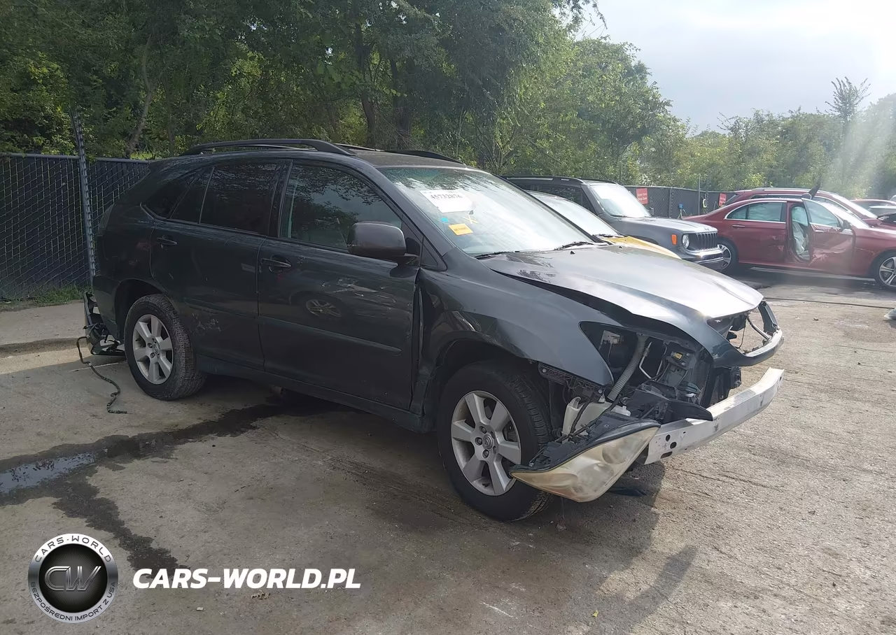 2004 Lexus Rx 330 VIN:2T2HA31U24C031809 - 1