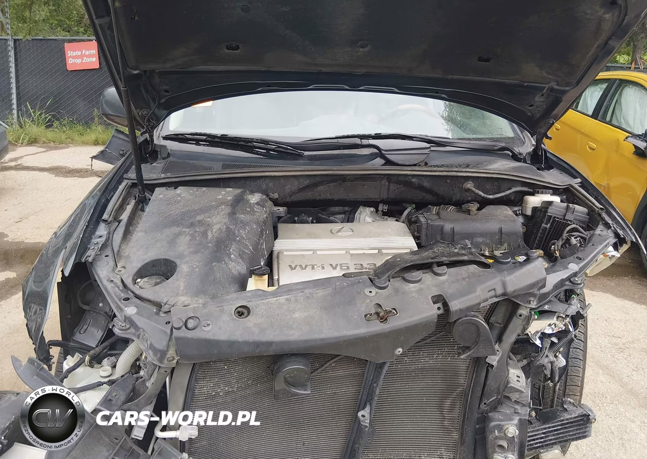 2004 Lexus Rx 330 VIN:2T2HA31U24C031809 - 10