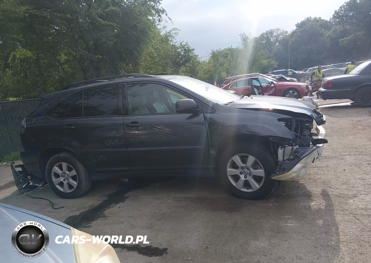 2004 Lexus Rx 330 VIN:2T2HA31U24C031809 - 13