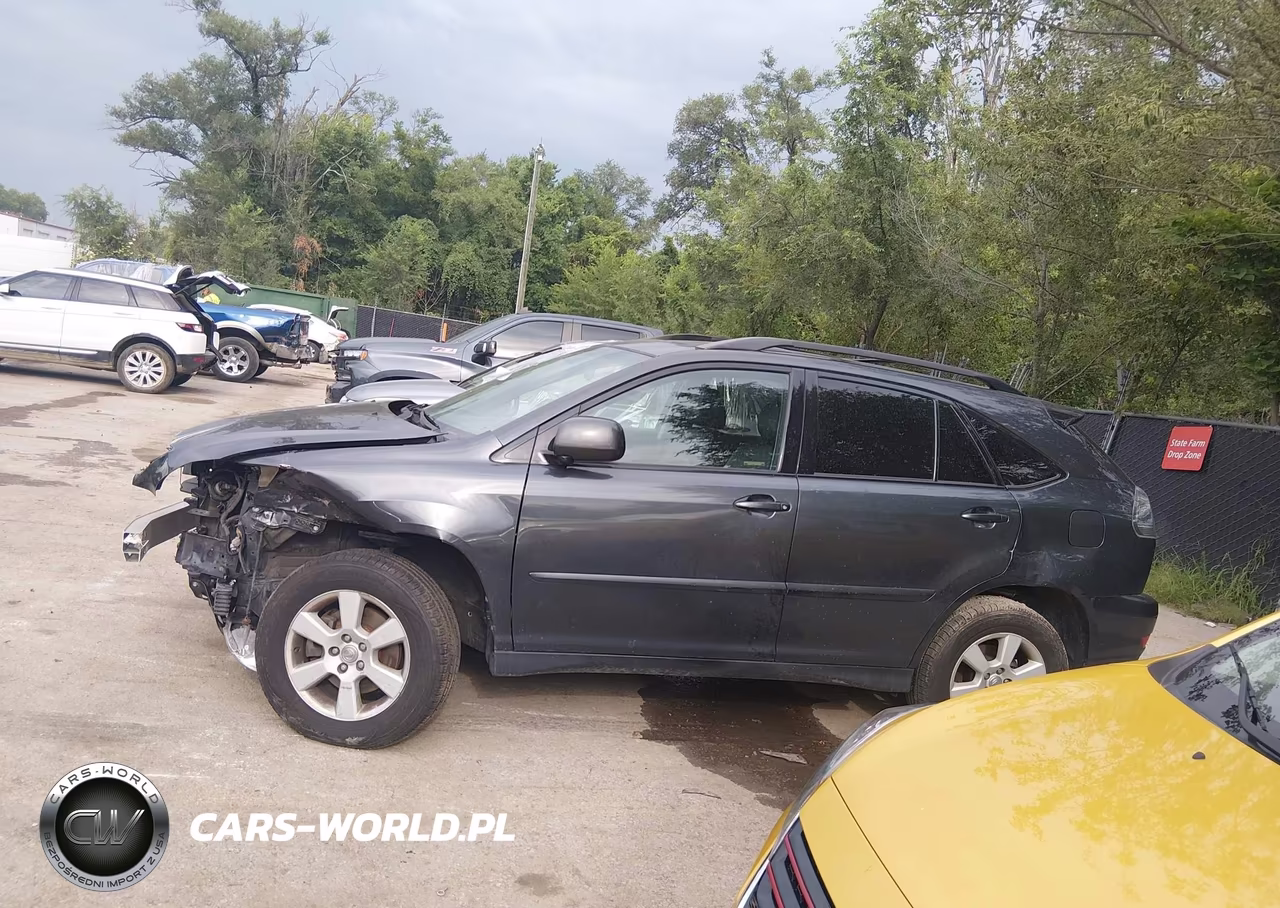 2004 Lexus Rx 330 VIN:2T2HA31U24C031809 - 14