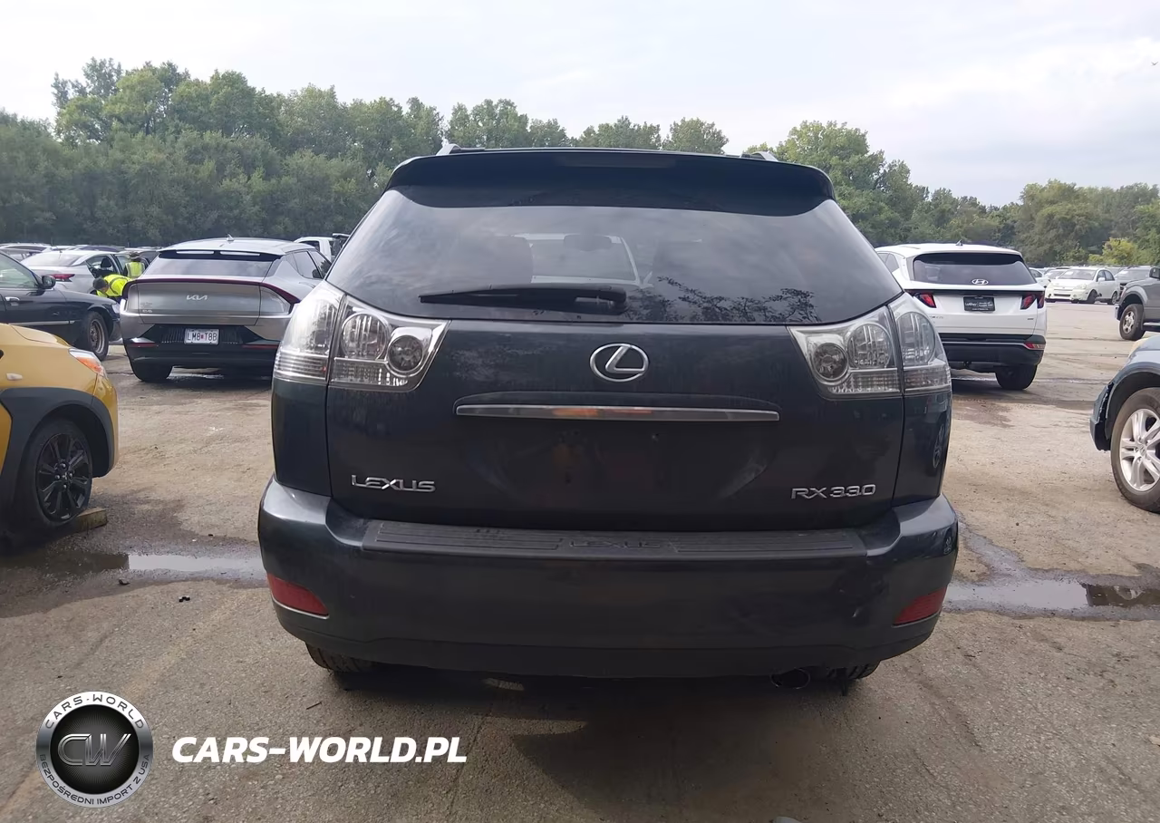 2004 Lexus Rx 330 VIN:2T2HA31U24C031809 - 16