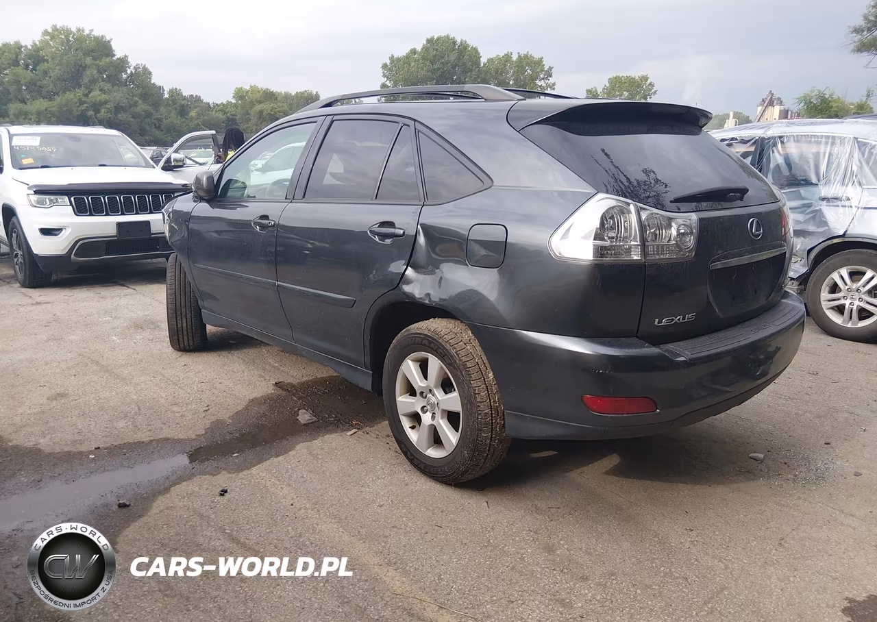 2004 Lexus Rx 330 VIN:2T2HA31U24C031809 - 3