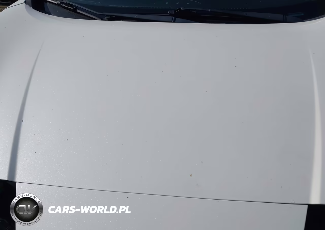 2019 Nissan Leaf Sv Plus VIN:1N4BZ1CPXKC313304 - 10