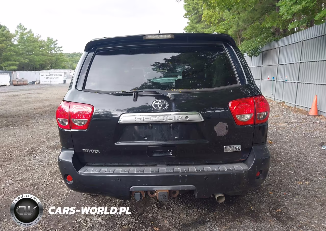 2010 Toyota Sequoia Platinum 5.7L V8 VIN:5TDDY5G18AS026219 - 17