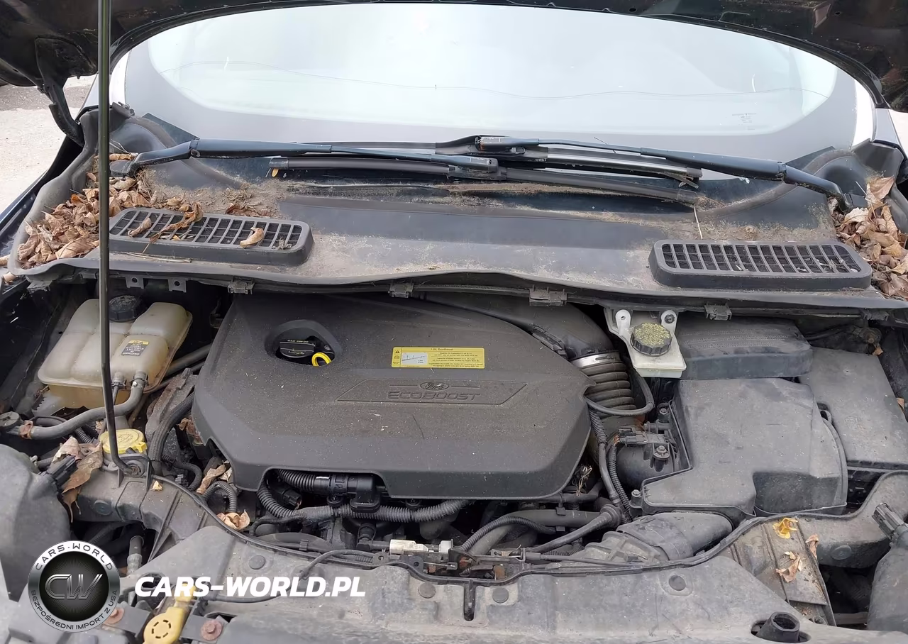 2013 Ford Escape Se VIN:1FMCU9GX5DUC63443 - 10