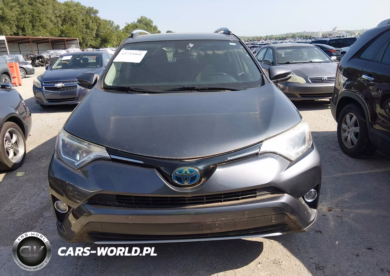 2016 Toyota Rav4 Hybrid Xle VIN:JTMRJREV8GD024028 - 12