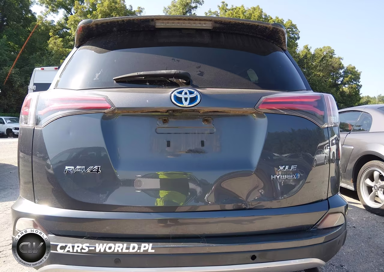 2016 Toyota Rav4 Hybrid Xle VIN:JTMRJREV8GD024028 - 6