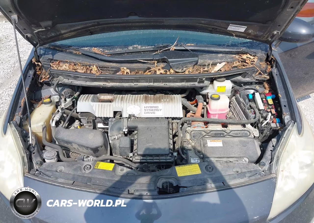 2013 Toyota Prius VIN:JTDKN3DU5D5559335 - 10