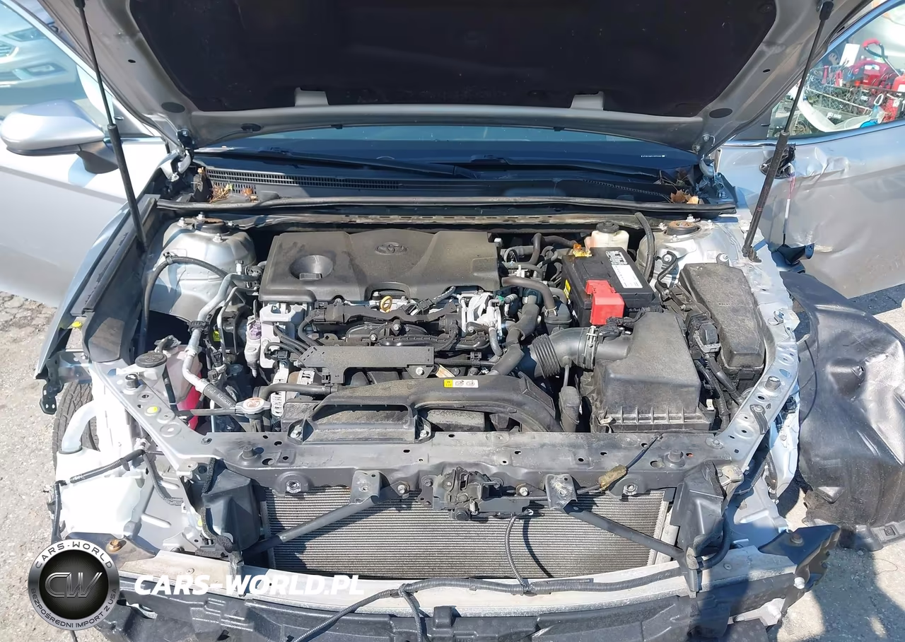 2018 Toyota Camry Se VIN:4T1B11HKXJU572166 - 10