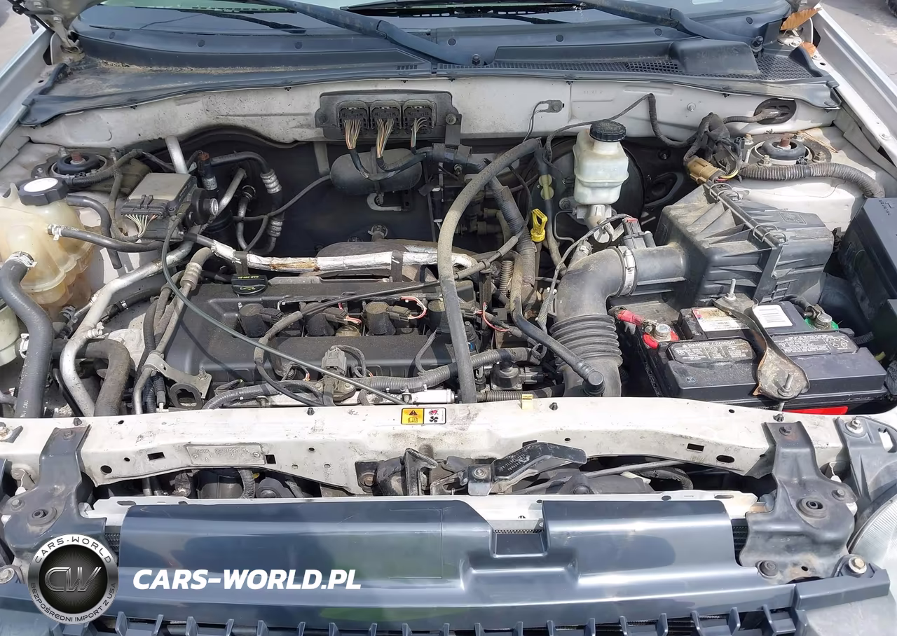 2006 Ford Escape Xlt VIN:1FMCU03Z86KC04646 - 10