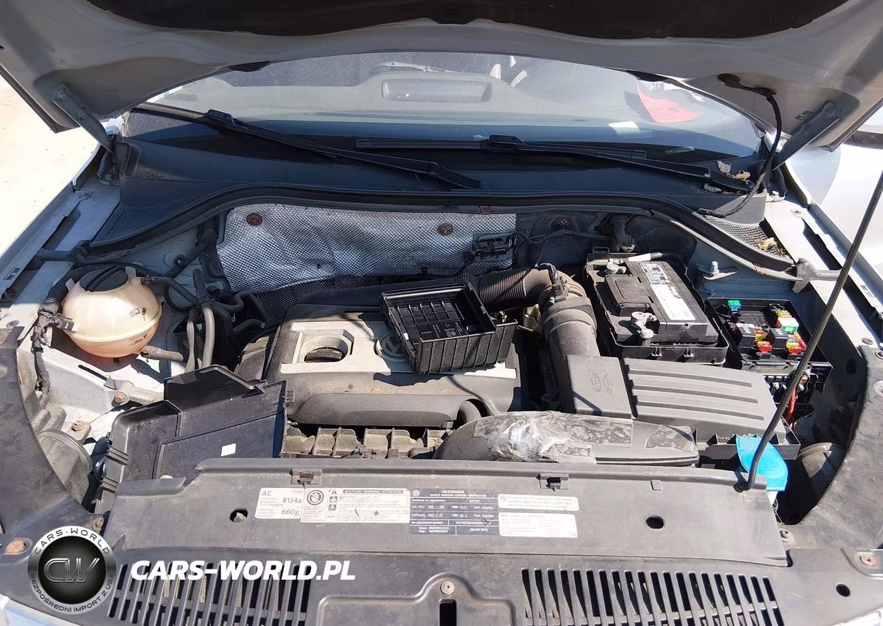 2011 Volkswagen Tiguan S VIN:WVGBV7AX5BW555231 - 10