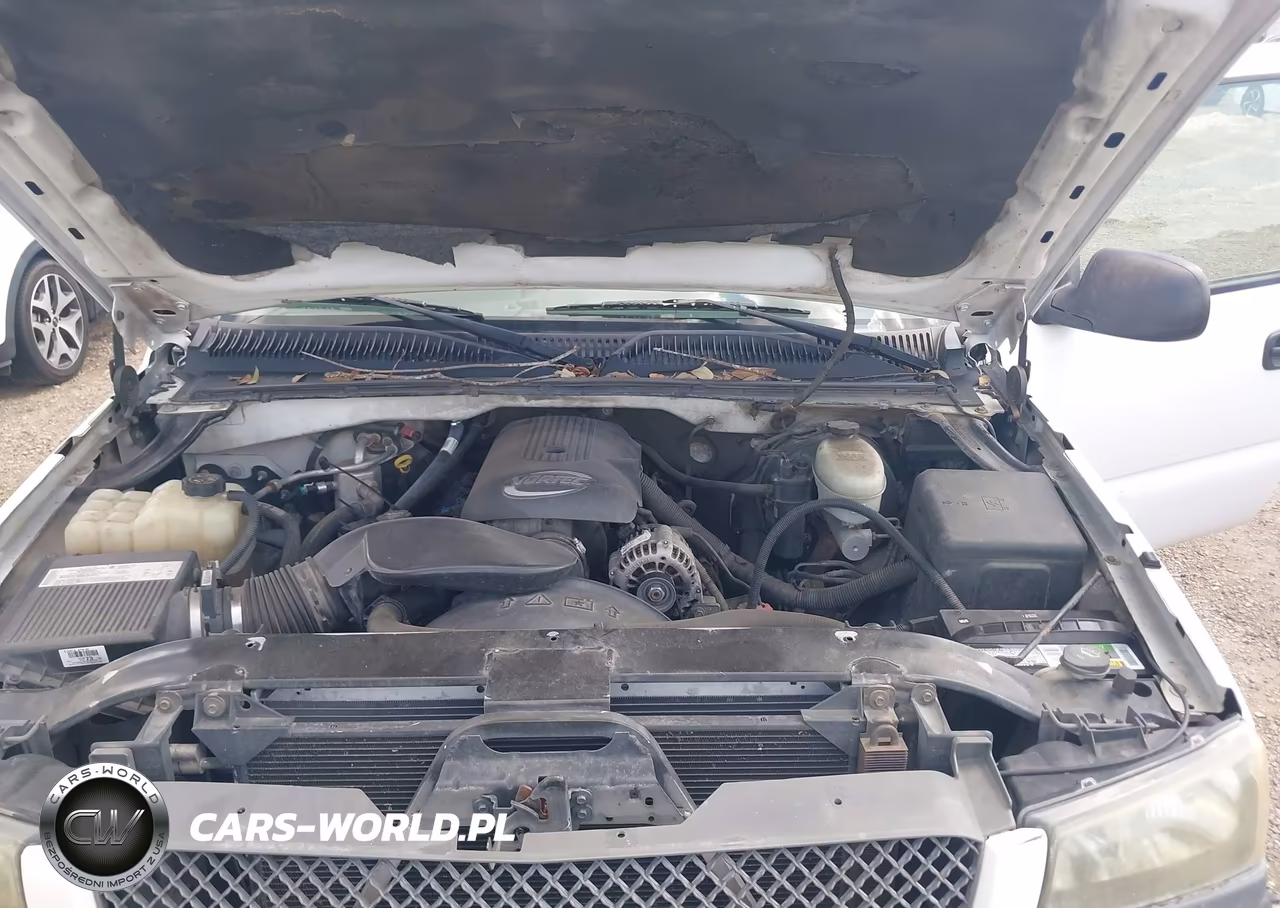 2004 Chevrolet Silverado 1500 Ls VIN:1GCEC14V94Z309251 - 10