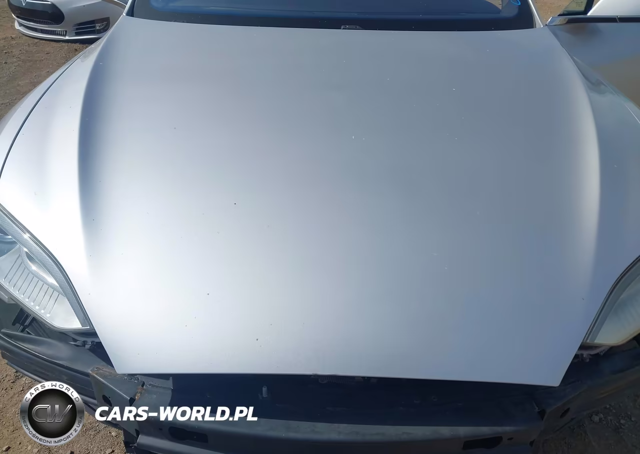 2016 Tesla Model S 60D-70D-75D-85D-90D VIN:5YJSA1E21GF128152 - 10