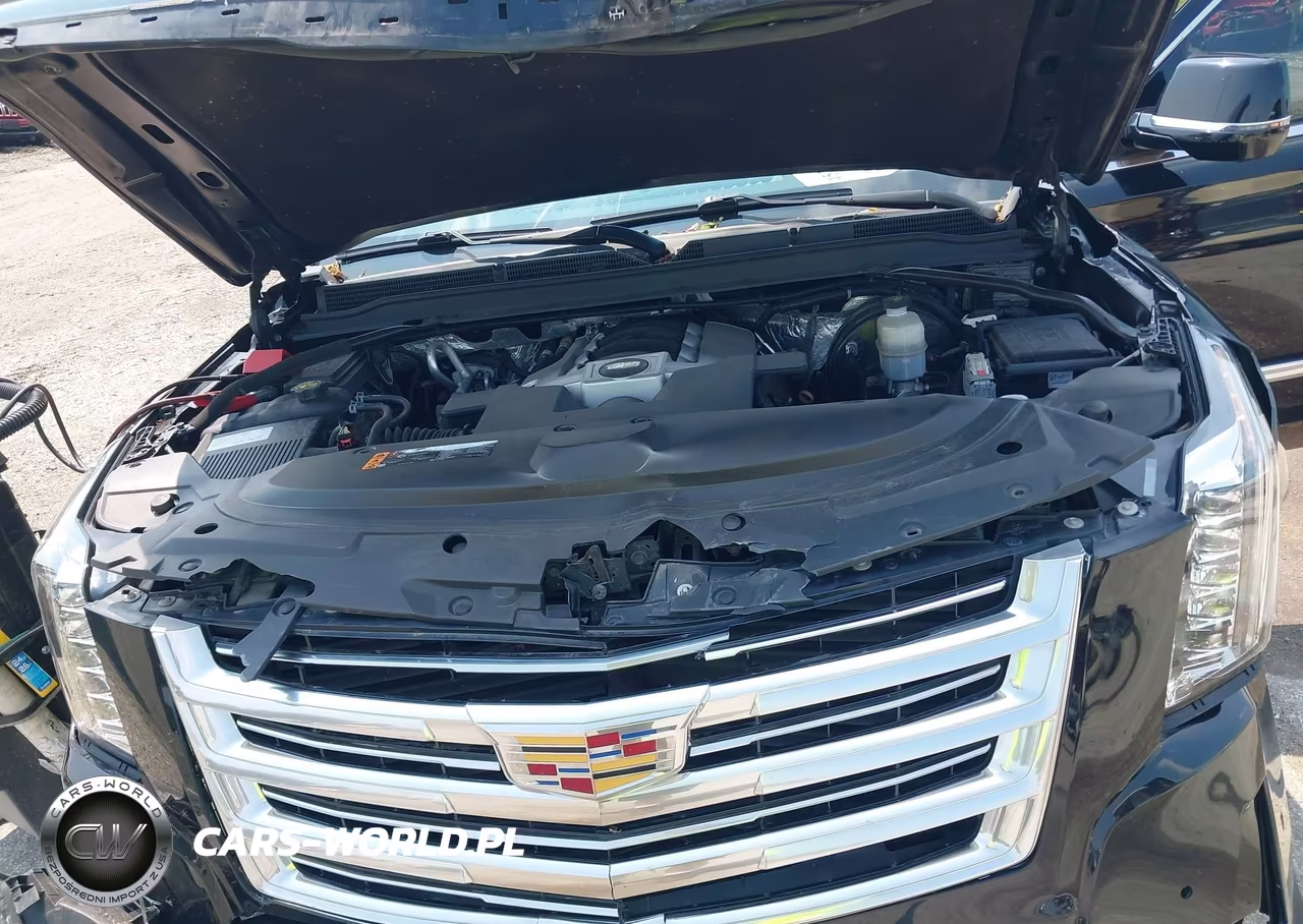 2017 Cadillac Escalade Platinum VIN:1GYS4DKJ1HR248656 - 10