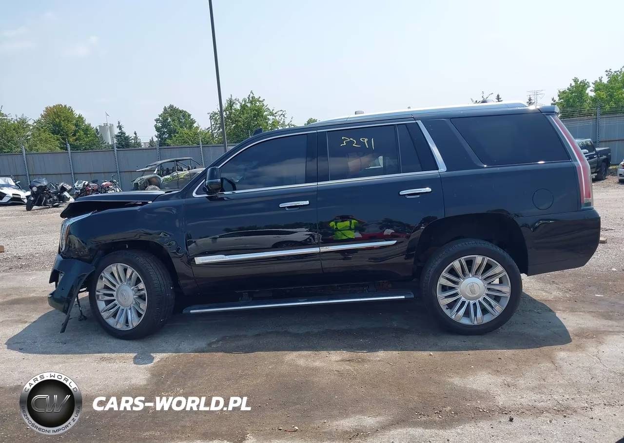2017 Cadillac Escalade Platinum VIN:1GYS4DKJ1HR248656 - 15