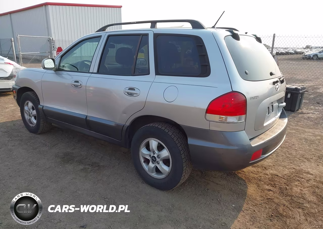 2005 Hyundai Santa Fe Gls VIN:KM8SC73D35U986529 - 3