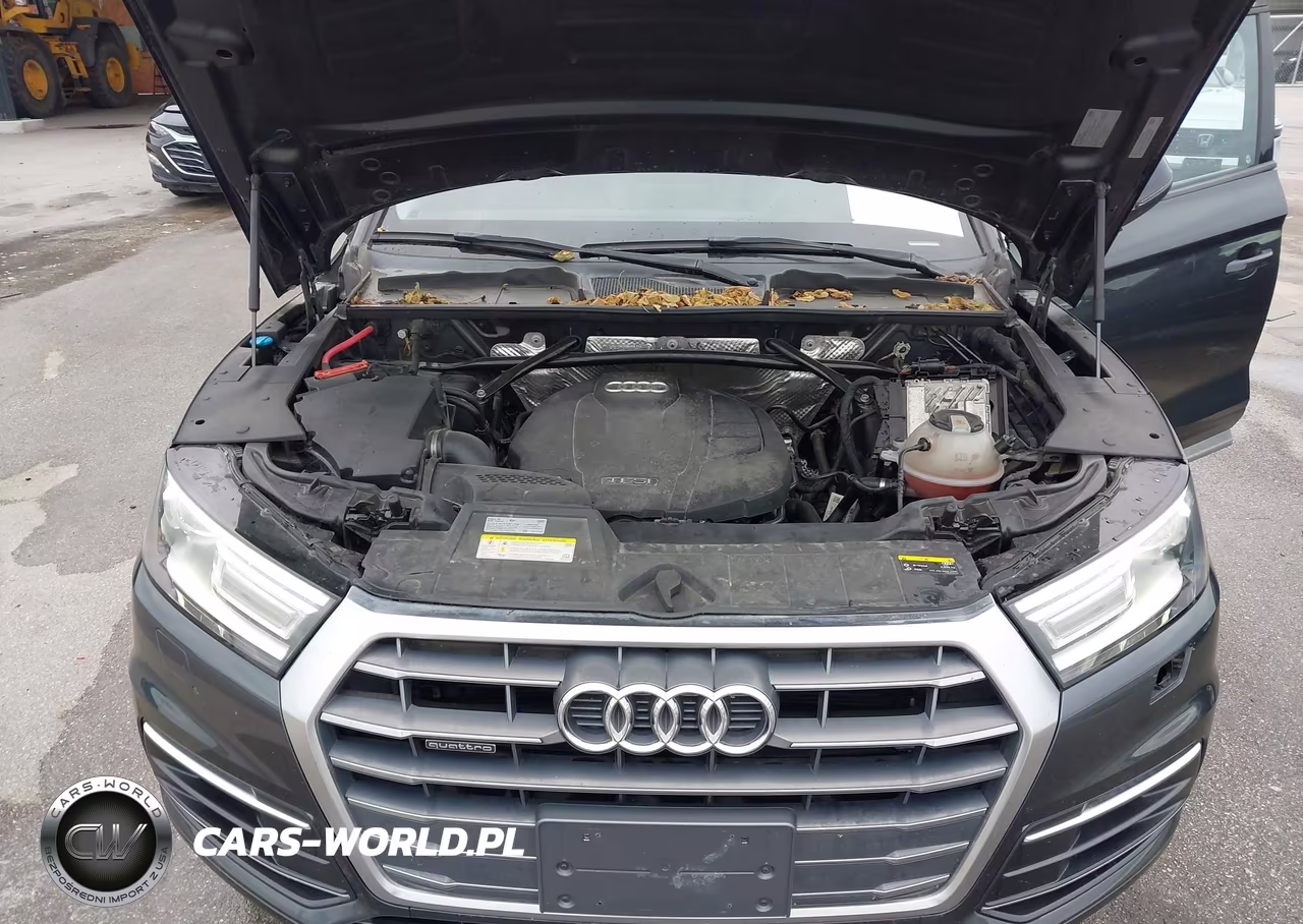 2018 Audi Q5 2.0T Premium-2.0T Tech Premium VIN:WA1ANAFY7J2077568 - 10