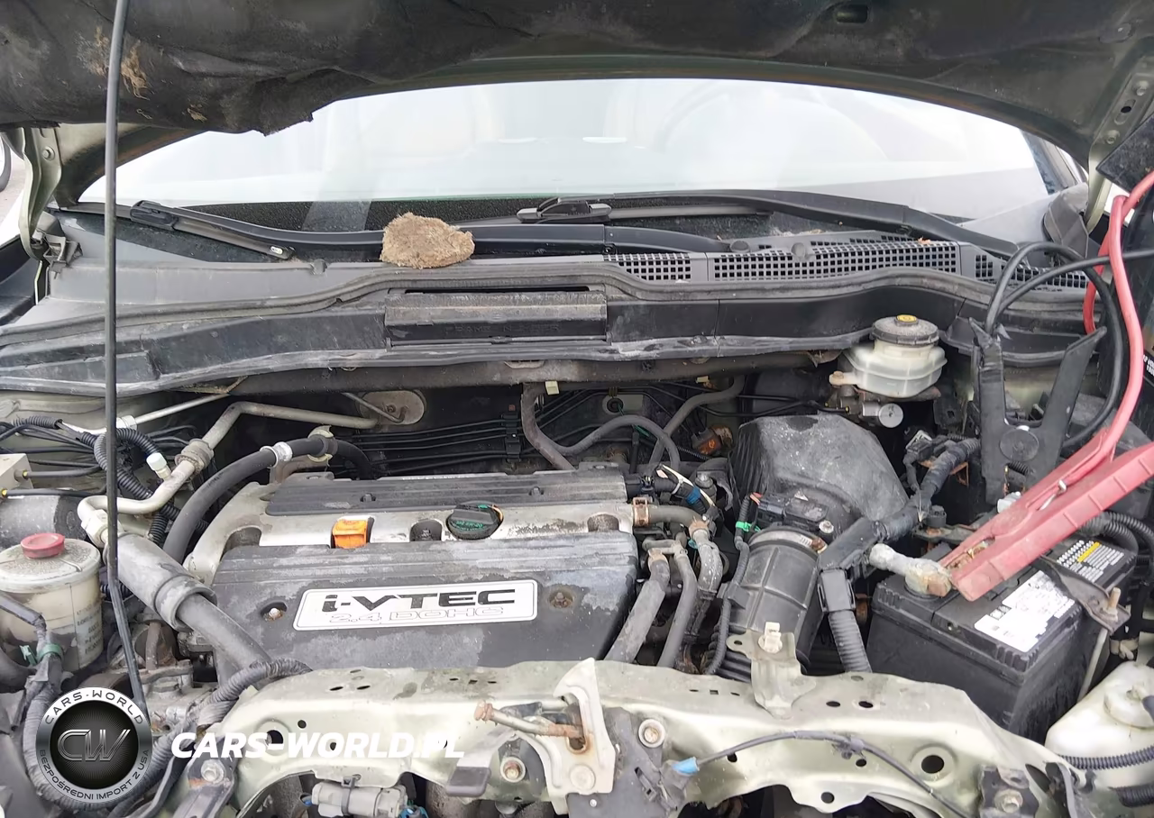 2008 Honda Cr-V Ex-L VIN:JHLRE48738C070266 - 10