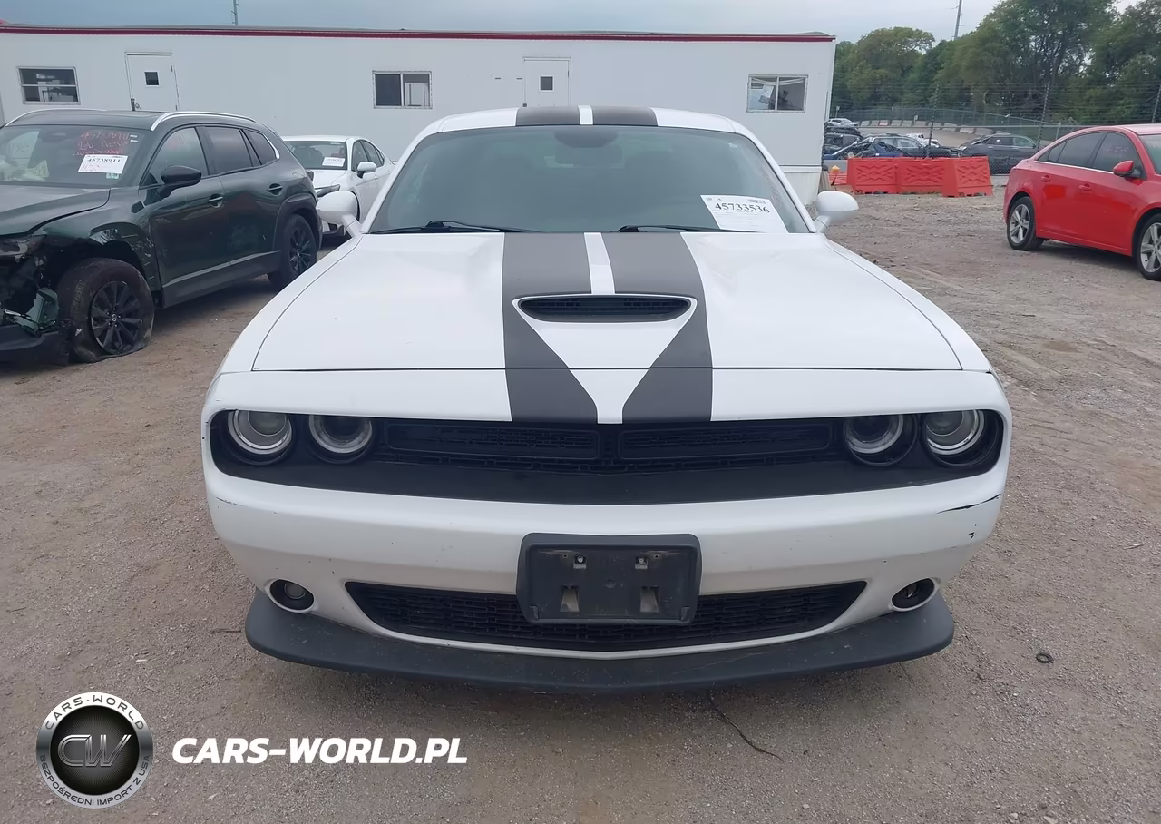 2019 Dodge Challenger Gt Awd VIN:2C3CDZKG4KH504411 - 12