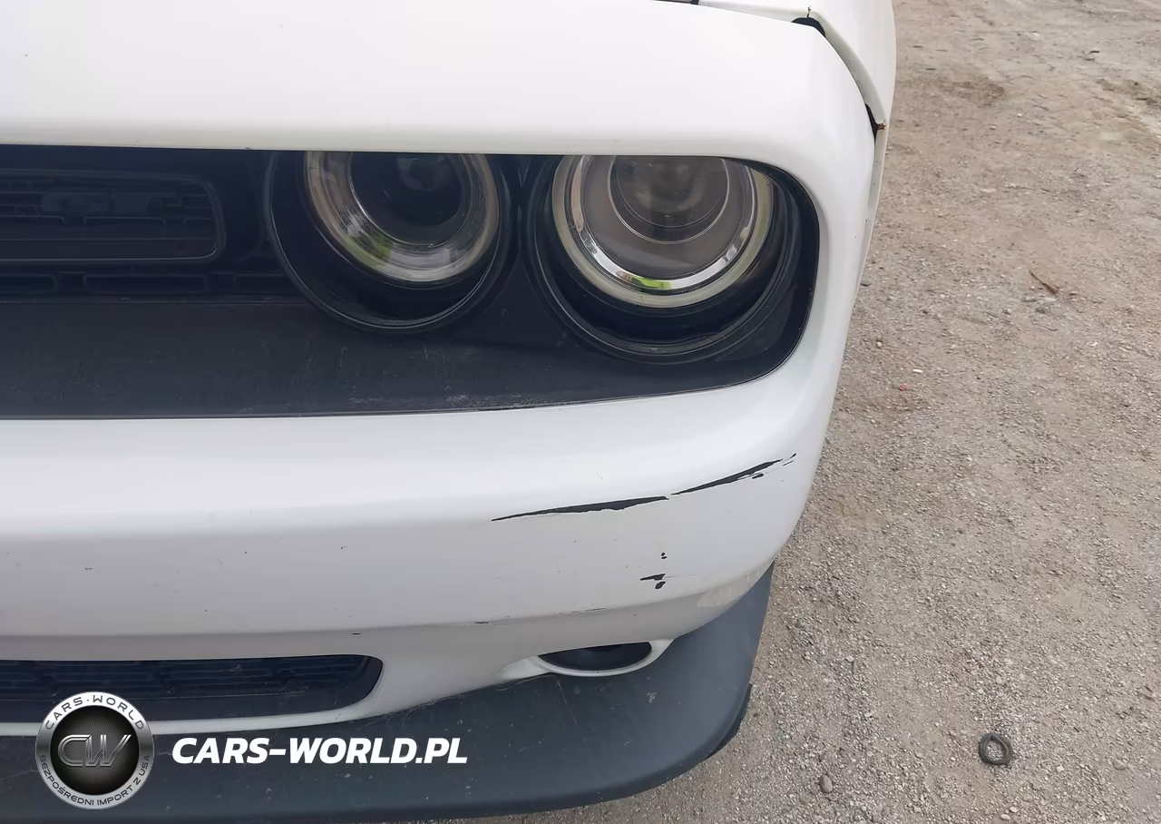 2019 Dodge Challenger Gt Awd VIN:2C3CDZKG4KH504411 - 17