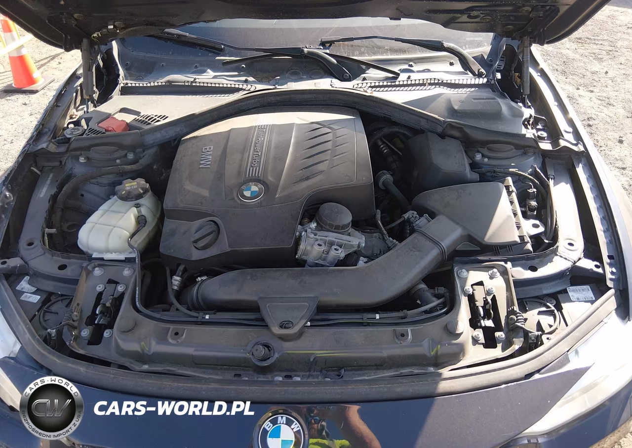 2015 BMW 435I Gran Coupe xDrive VIN:WBA4B3C53FD669608 - 10