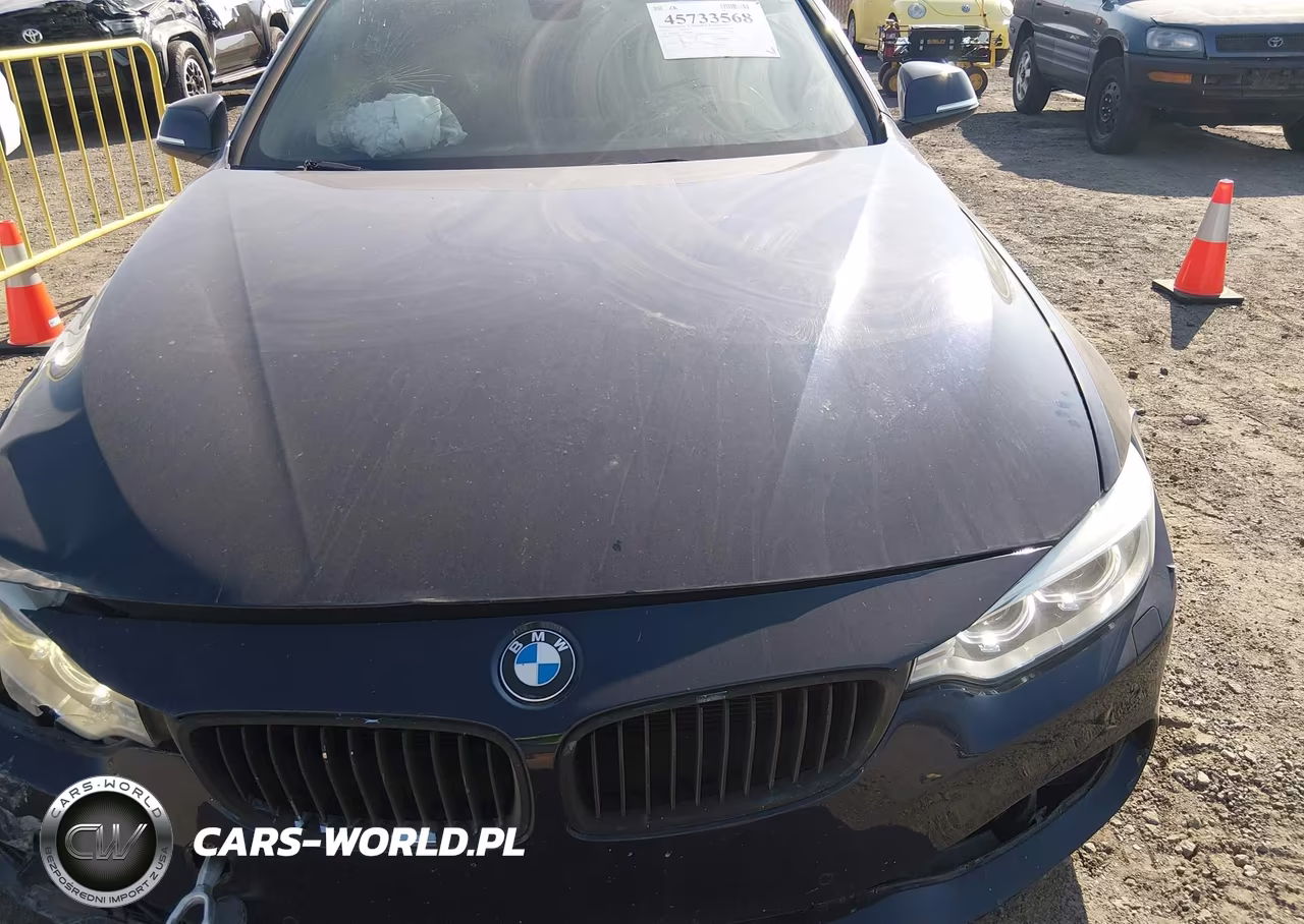 2015 BMW 435I Gran Coupe xDrive VIN:WBA4B3C53FD669608 - 12