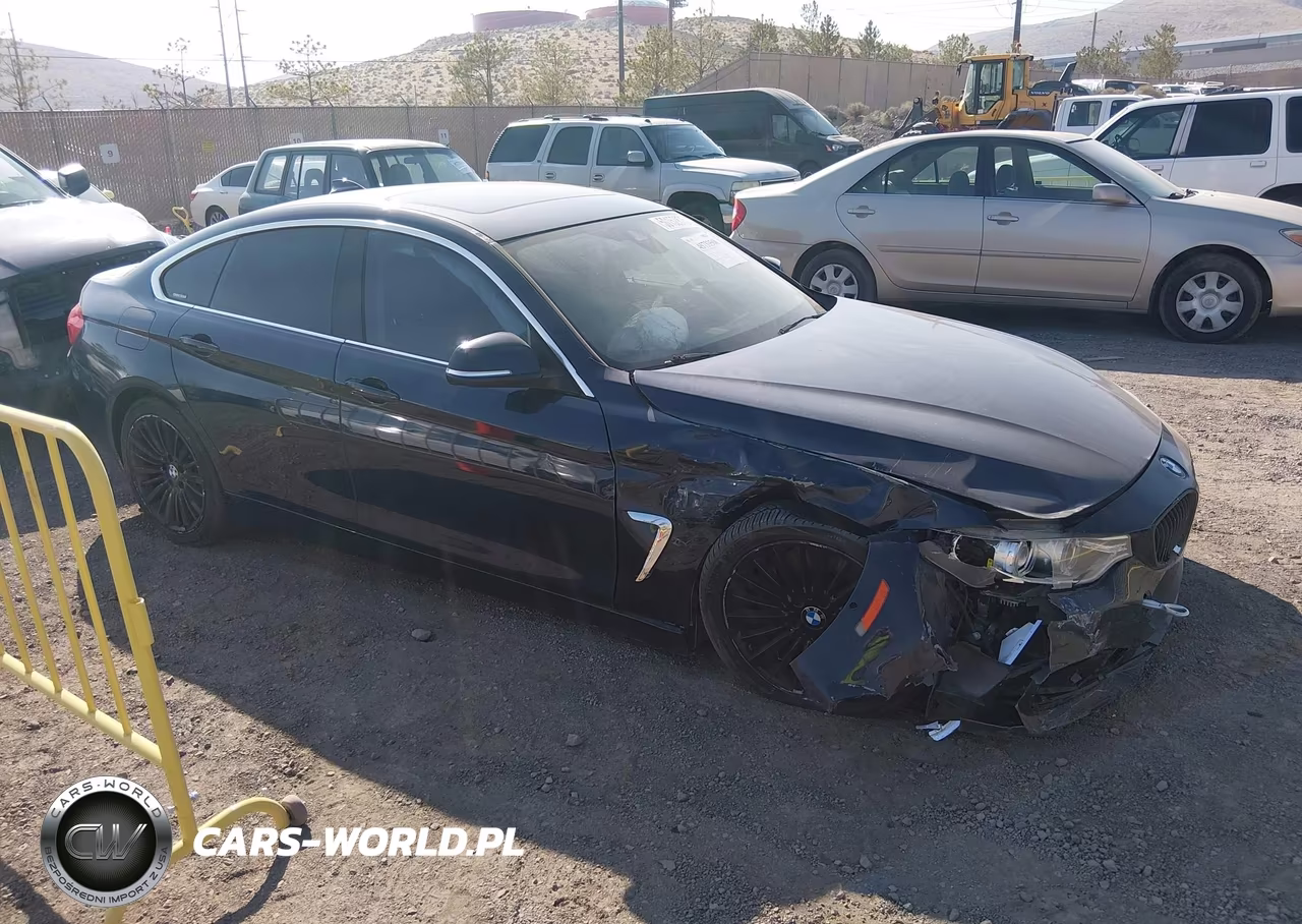 2015 BMW 435I Gran Coupe xDrive VIN:WBA4B3C53FD669608 - 13