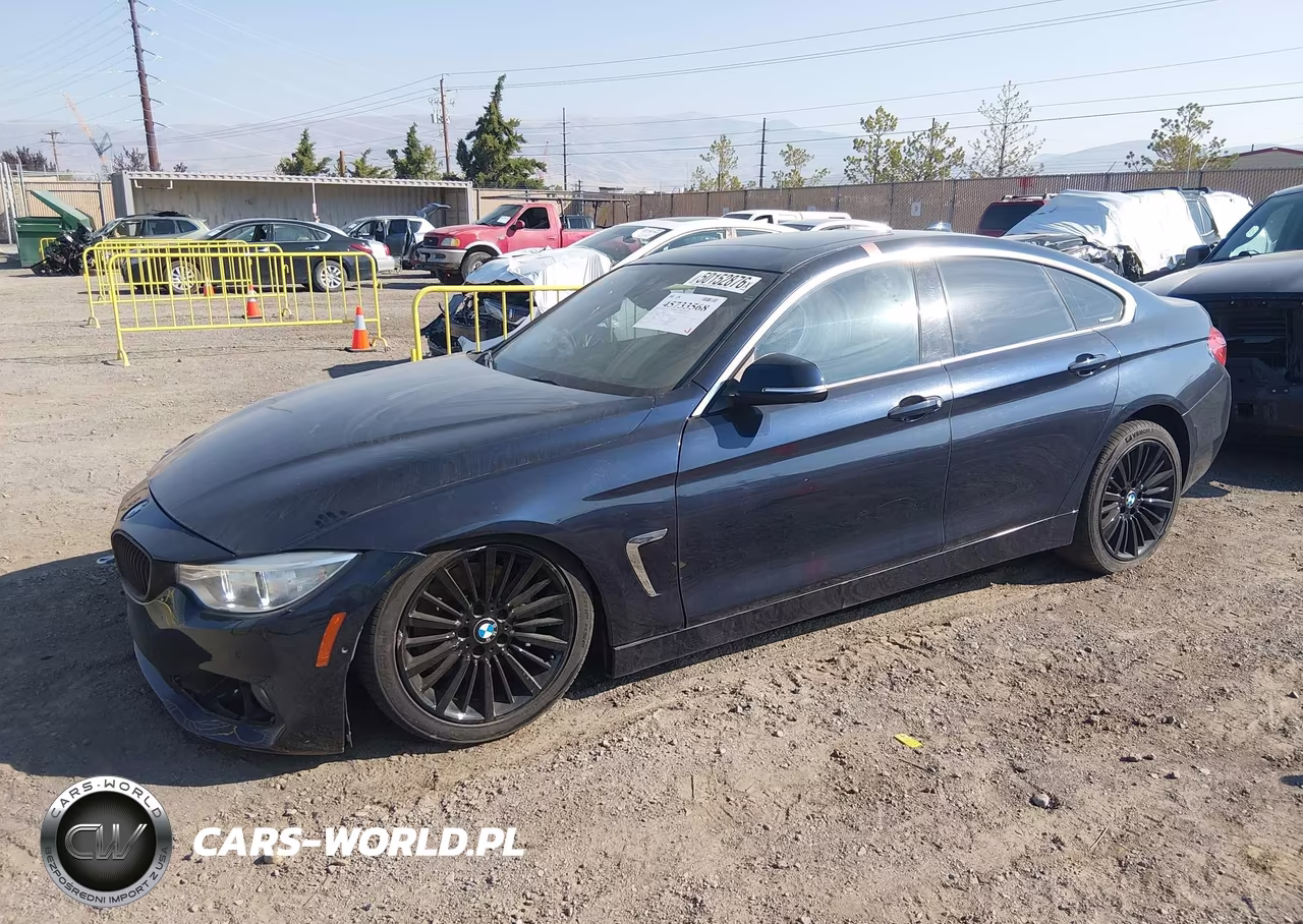 2015 BMW 435I Gran Coupe xDrive VIN:WBA4B3C53FD669608 - 2