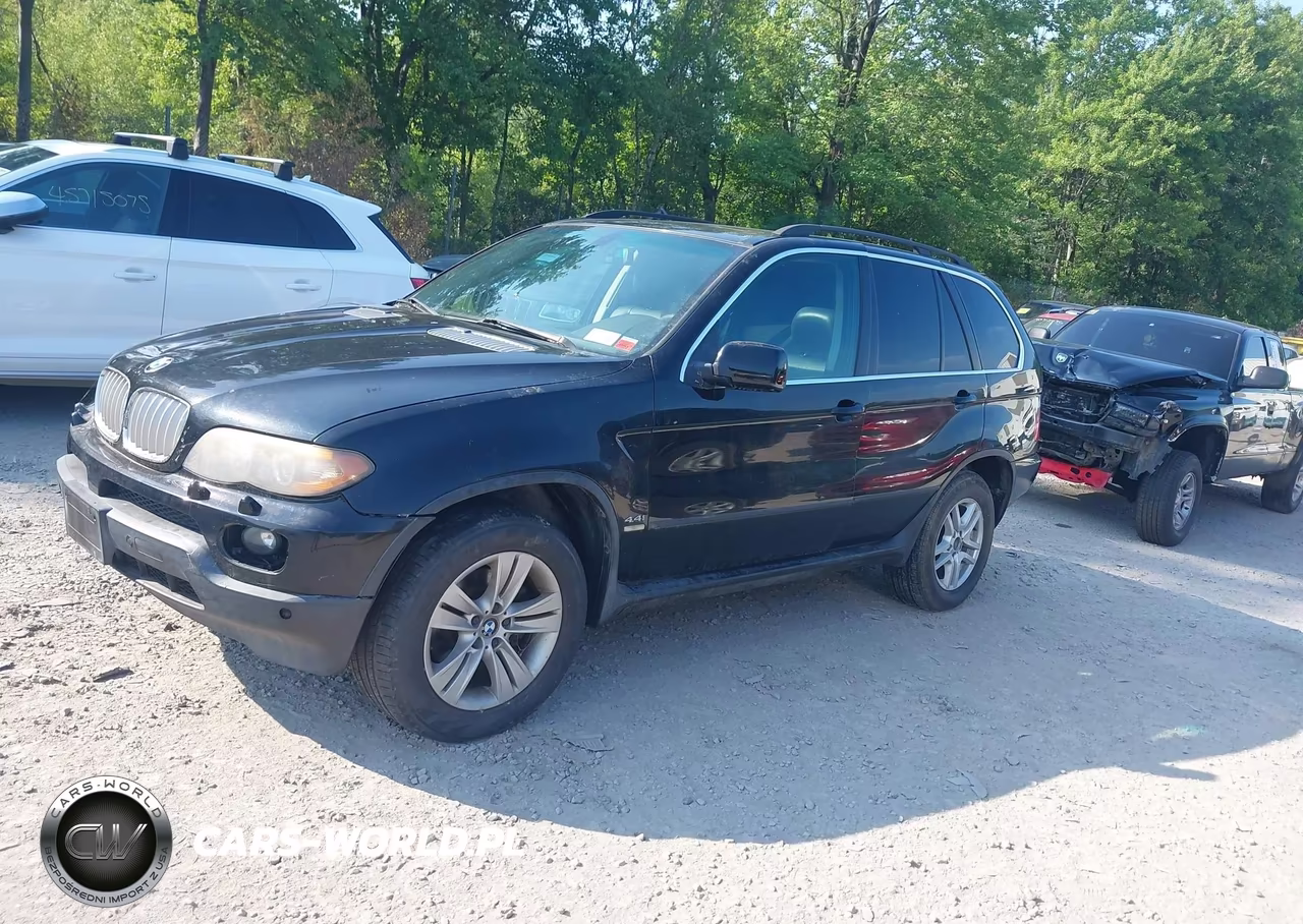 2006 BMW X5 4.4I VIN:5UXFB53556LV28616 - 2