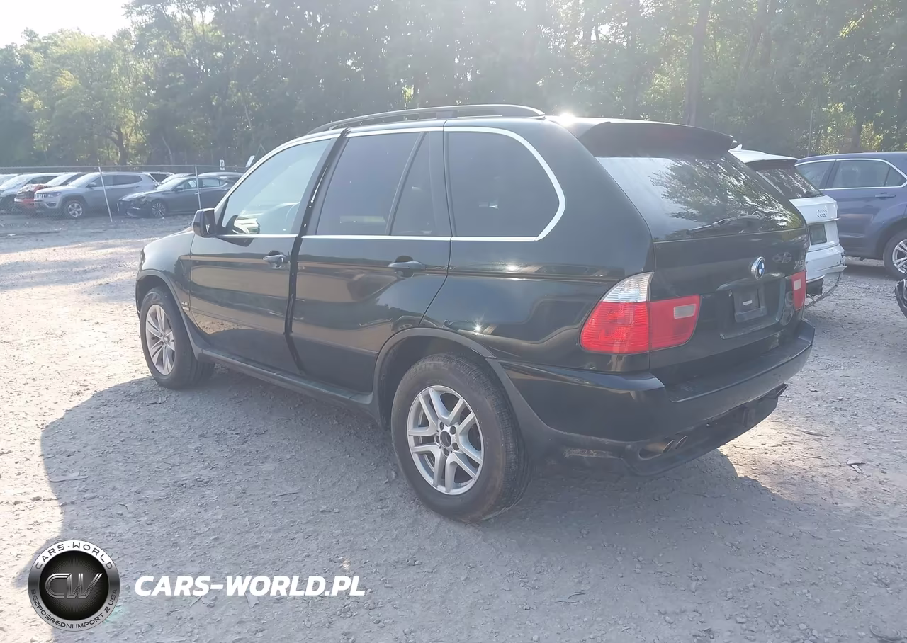 2006 BMW X5 4.4I VIN:5UXFB53556LV28616 - 3